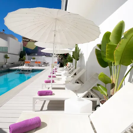 The Purple - Adults Only 3*