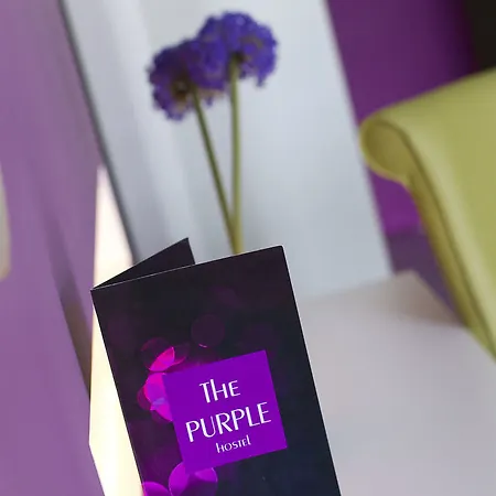 The Purple - Adults Only Hotell San Antonio (Ibiza)